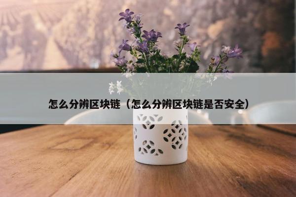 怎么分辨区块链（怎么分辨区块链是否安全）