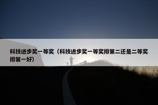 科技进步奖一等奖（科技进步奖一等奖排第二还是二等奖排第一好）