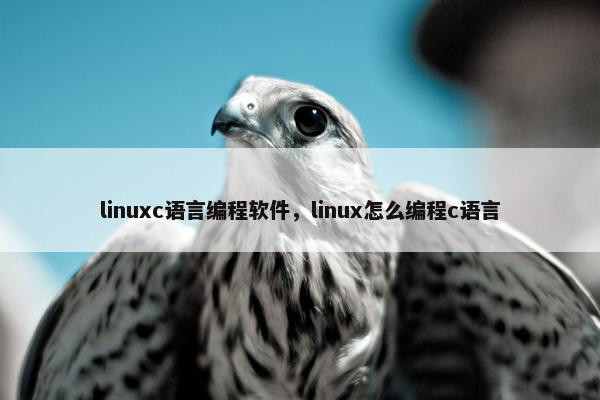 linuxc语言编程软件，linux怎么编程c语言