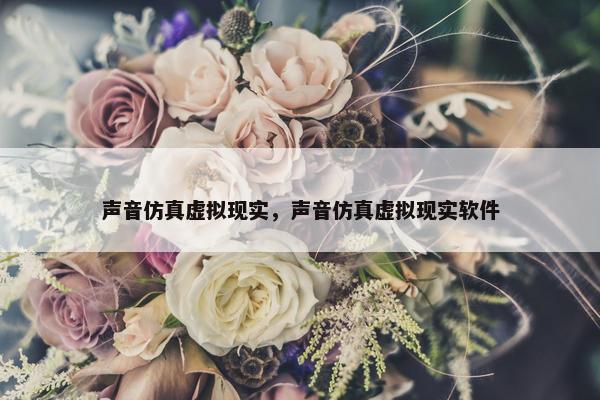 声音仿真虚拟现实，声音仿真虚拟现实软件