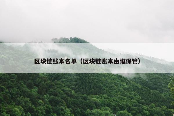 区块链账本名单（区块链账本由谁保管）