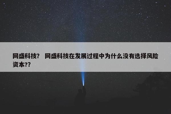 网盛科技？ 网盛科技在发展过程中为什么没有选择风险资本?？