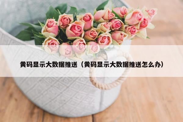 黄码显示大数据推送（黄码显示大数据推送怎么办）