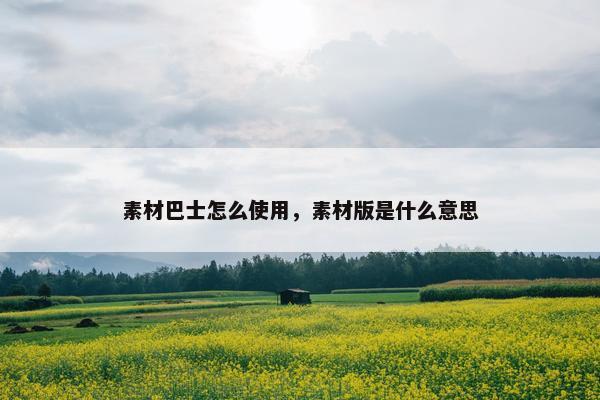 素材巴士怎么使用，素材版是什么意思