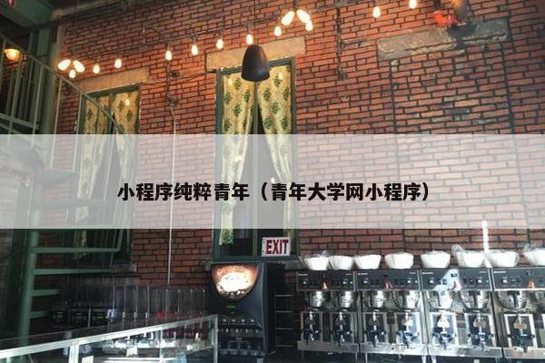 小程序纯粹青年（青年大学网小程序）