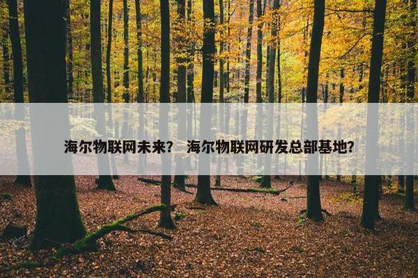 海尔物联网未来？ 海尔物联网研发总部基地？