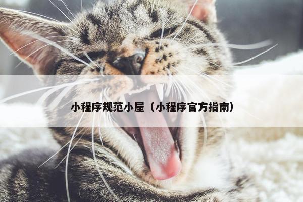 小程序规范小屋（小程序官方指南）