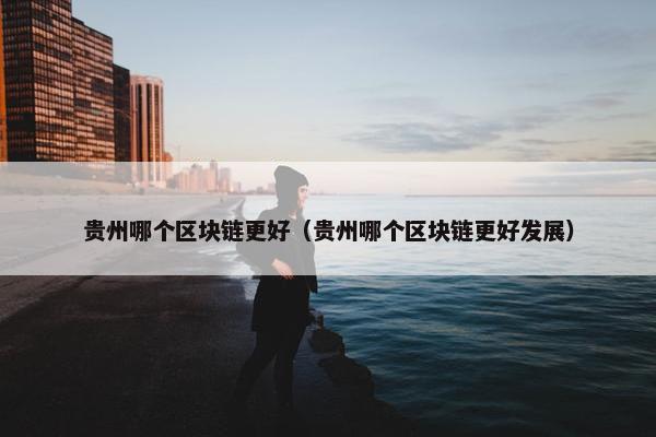 贵州哪个区块链更好（贵州哪个区块链更好发展）