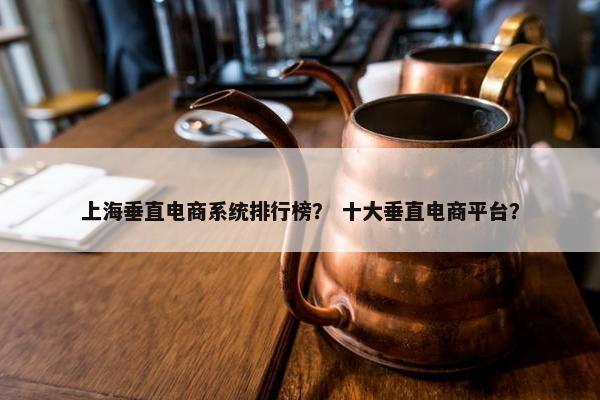 上海垂直电商系统排行榜？ 十大垂直电商平台？