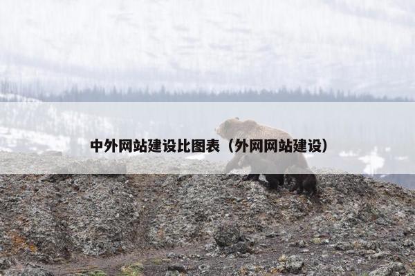 中外网站建设比图表（外网网站建设）
