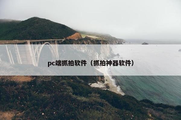 pc端抓拍软件（抓拍神器软件）