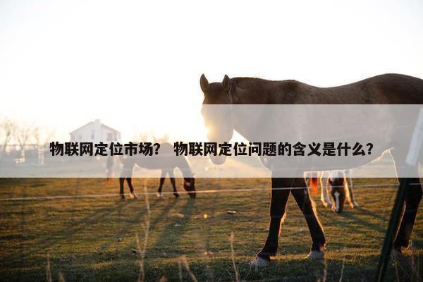 物联网定位市场？ 物联网定位问题的含义是什么？