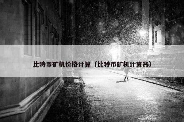 比特币矿机价格计算（比特币矿机计算器）