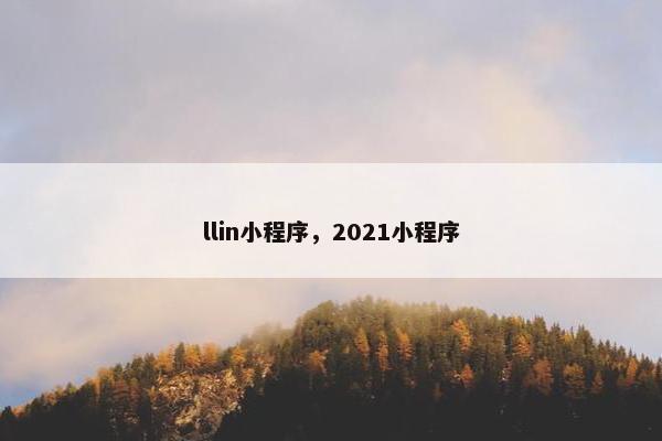 llin小程序，2021小程序