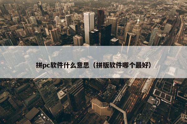 拼pc软件什么意思（拼版软件哪个最好）