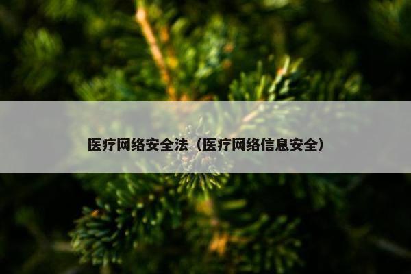 医疗网络安全法（医疗网络信息安全）