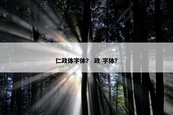 仁政体字体？ 政 字体？