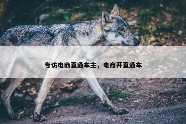 专访电商直通车主，电商开直通车