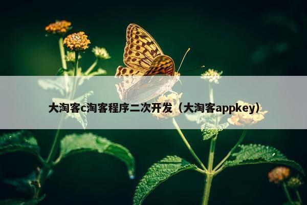 大淘客c淘客程序二次开发（大淘客appkey）