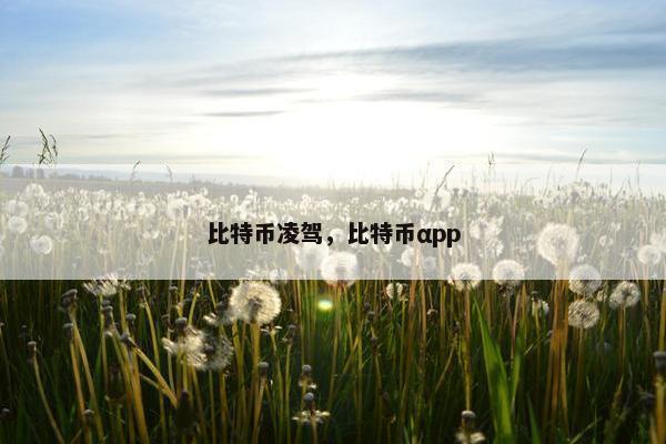 比特币凌驾，比特币αpp