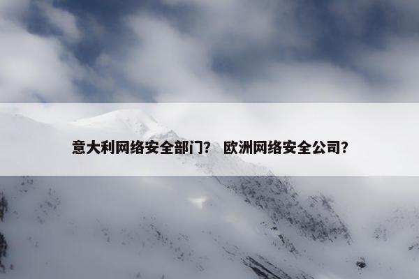 意大利网络安全部门？ 欧洲网络安全公司？