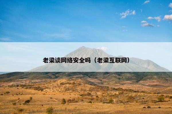 老梁谈网络安全吗（老梁互联网）