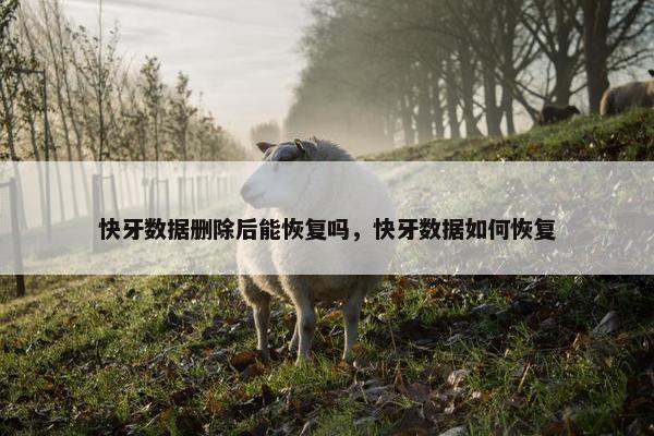 快牙数据删除后能恢复吗，快牙数据如何恢复
