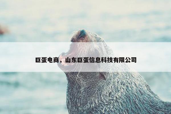 巨蛋电商，山东巨蛋信息科技有限公司