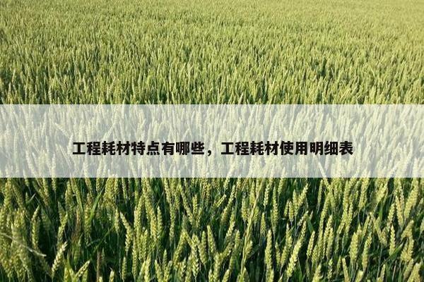 工程耗材特点有哪些，工程耗材使用明细表