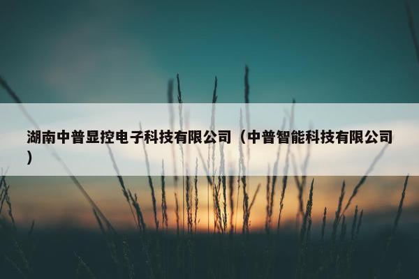 湖南中普显控电子科技有限公司（中普智能科技有限公司）