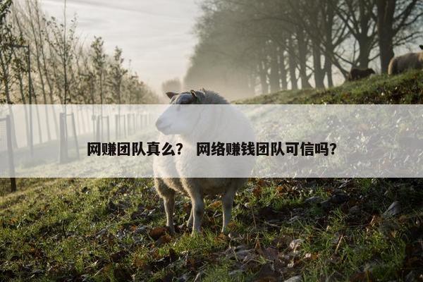 网赚团队真么？ 网络赚钱团队可信吗？