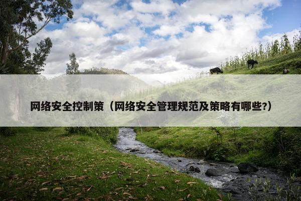网络安全控制策（网络安全管理规范及策略有哪些?）