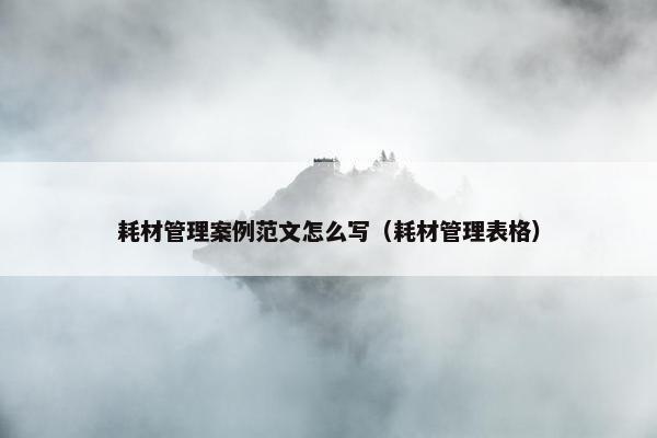 耗材管理案例范文怎么写（耗材管理表格）