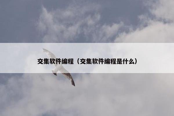 交集软件编程（交集软件编程是什么）