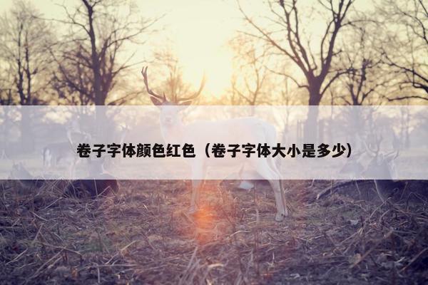 卷子字体颜色红色（卷子字体大小是多少）