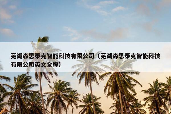 芜湖森思泰克智能科技有限公司（芜湖森思泰克智能科技有限公司英文全称）