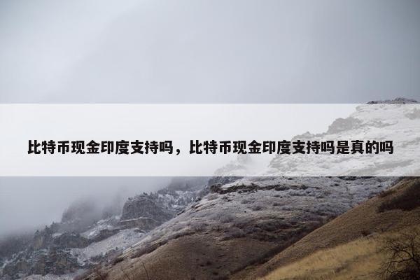 比特币现金印度支持吗，比特币现金印度支持吗是真的吗