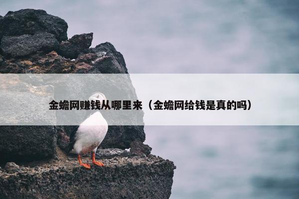 金蟾网赚钱从哪里来（金蟾网给钱是真的吗）
