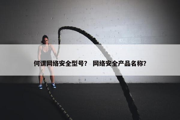 何谓网络安全型号？ 网络安全产品名称？