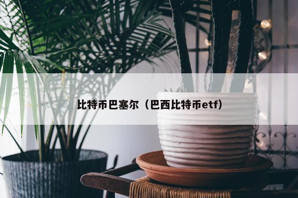比特币巴塞尔（巴西比特币etf）