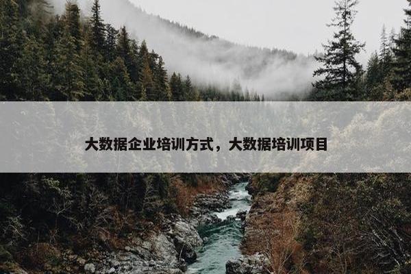 大数据企业培训方式，大数据培训项目