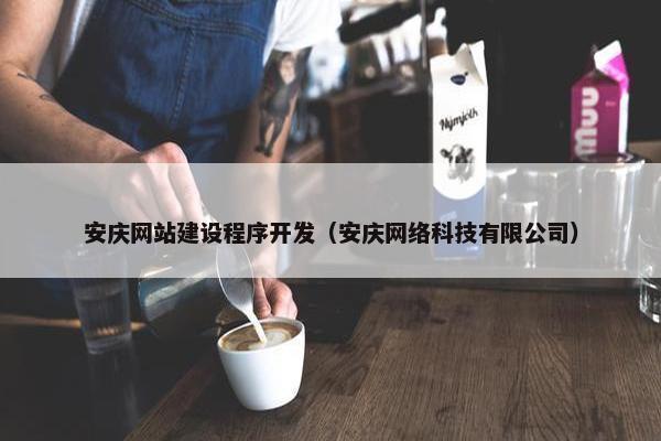 安庆网站建设程序开发（安庆网络科技有限公司）