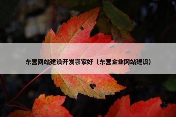 东营网站建设开发哪家好（东营企业网站建设）