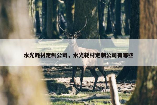 水光耗材定制公司，水光耗材定制公司有哪些