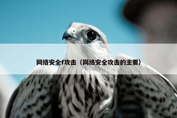 网络安全f攻击（网络安全攻击的主要）