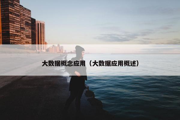 大数据概念应用（大数据应用概述）