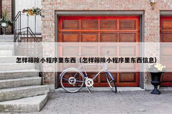 怎样筛除小程序里东西（怎样筛除小程序里东西信息）