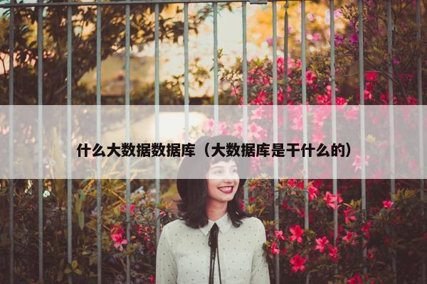 什么大数据数据库（大数据库是干什么的）