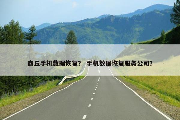 商丘手机数据恢复？ 手机数据恢复服务公司？