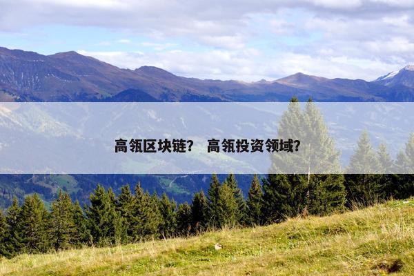 高瓴区块链？ 高瓴投资领域？
